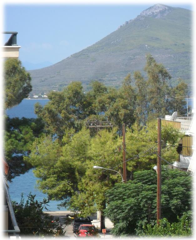 Araliki Apartments & Studios Λουτρά Αιδηψού Εξωτερικό φωτογραφία